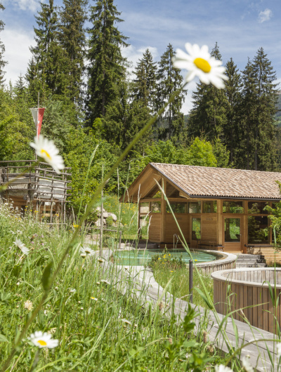 mg_6719.jpg mg_6719.jpg